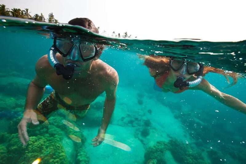 São Miguel Azores: Hike and Snorkeling with a local - What Travelers Say