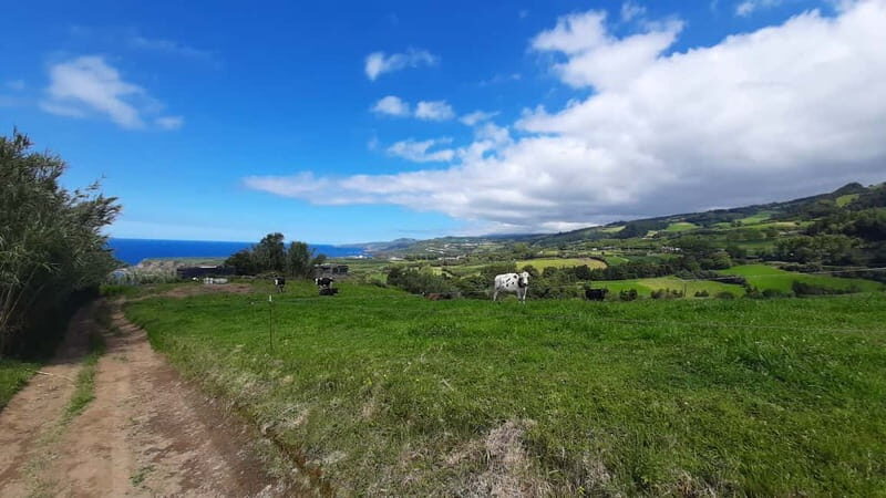 São Miguel Azores: Hike and Snorkeling with a local - FAQ