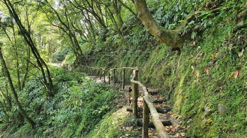 São Miguel Azores: Sete Cidades Guided tour with a local - Value and Considerations
