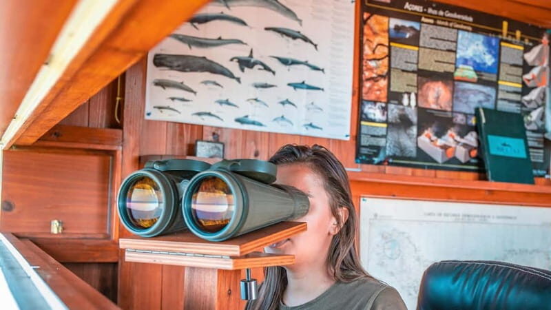 São Miguel: Azores Whaling Heritage Tour - A Closer Look at the Whaling Heritage Tour