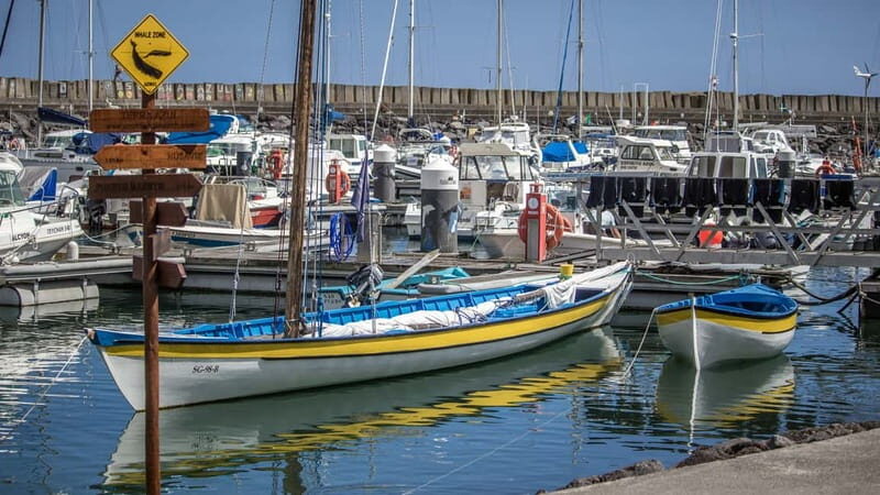 São Miguel: Azores Whaling Heritage Tour - Who Will Love This Tour?