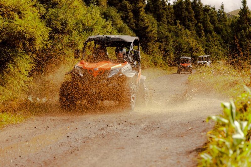 Sao Miguel: Buggy Tour Around Sete Cidades Volcano - Detailed Breakdown of the Experience