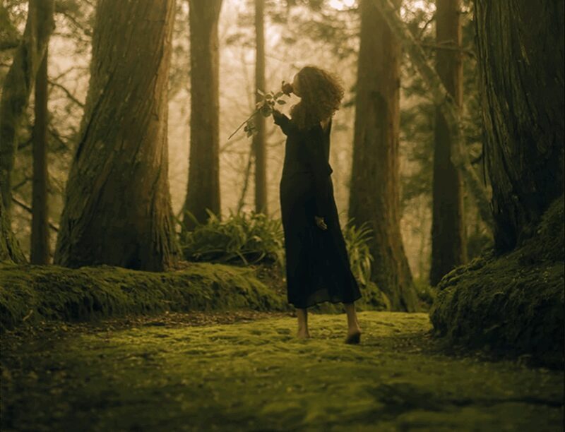 São Miguel: Enchanting Photo Session with Katharina - A Closer Look at the Experience