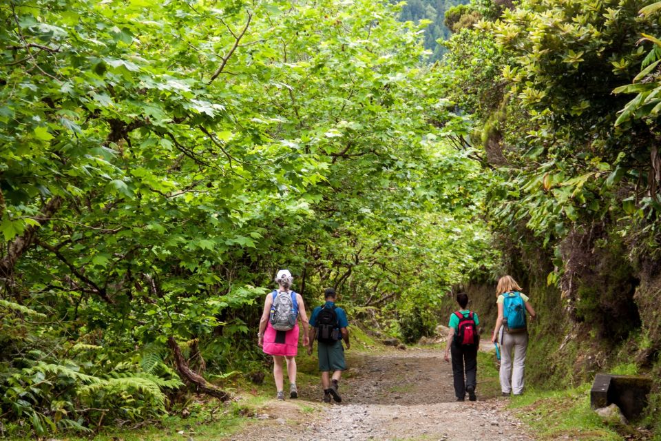 São Miguel: Full-Day Hike to Lagoa Do Fogo - Experience Itinerary