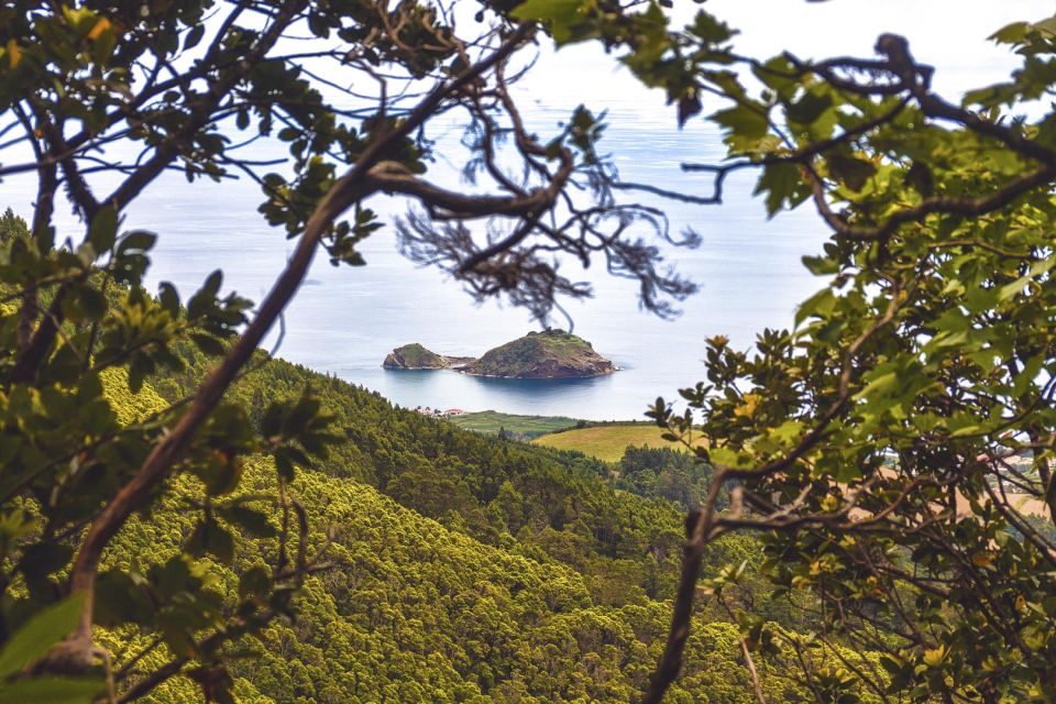 São Miguel: Full-Day Hike to Lagoa Do Fogo - Vegetation and Scenery