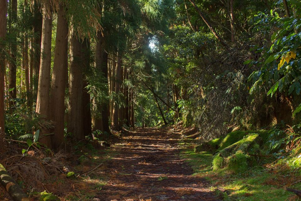 São Miguel: Full-Day Hike to Lagoa Do Fogo - Important Considerations