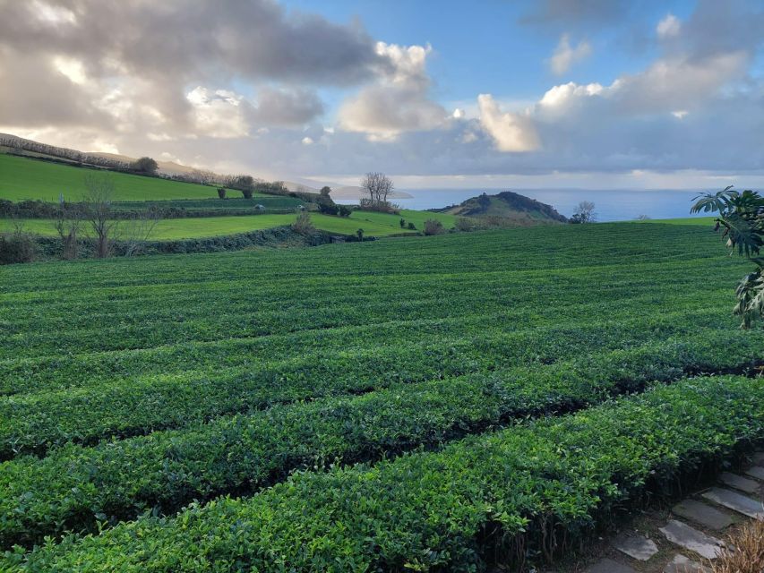 Sao Miguel: Full Day Tour of Furnas With Lunch Included - Furnas Exploration