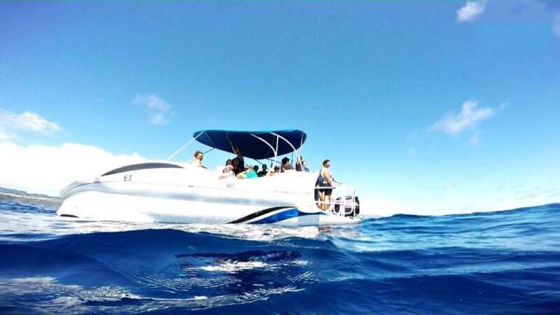 São Miguel: Glass Bottom Boat Tour with Snorkeling - Key Points