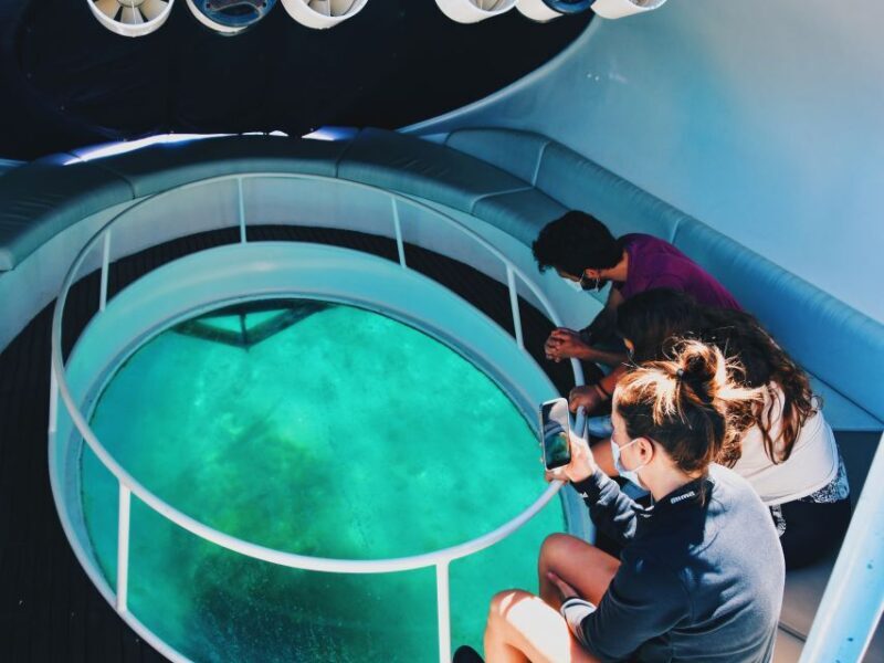 São Miguel: Glass Bottom Boat Tour with Snorkeling - An In-Depth Look at the São Miguel Glass Bottom Boat & Snorkeling Tour