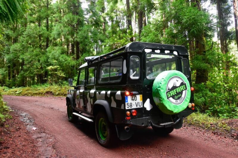 São Miguel Island: Full Day Furnas and Furnas Lake Tour - Who Will Love This Tour?