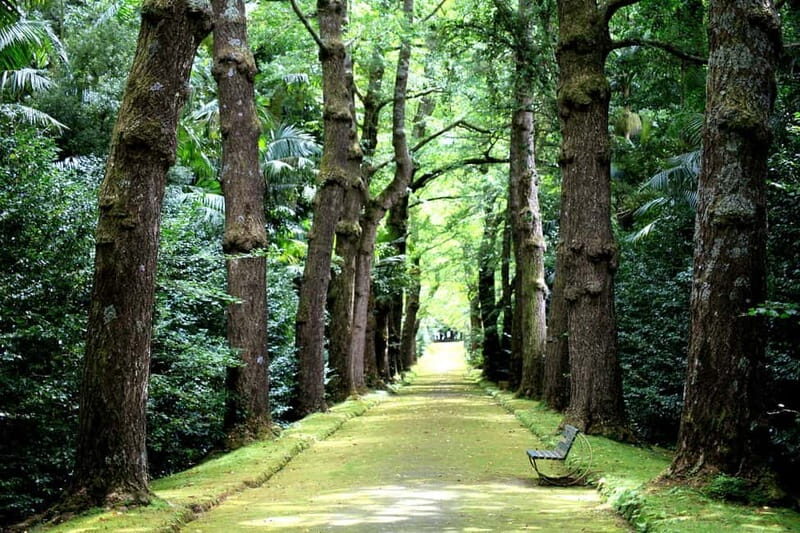 São Miguel Island: Full-Day Furnas and Vila Franca Tour - The Experience in Detail