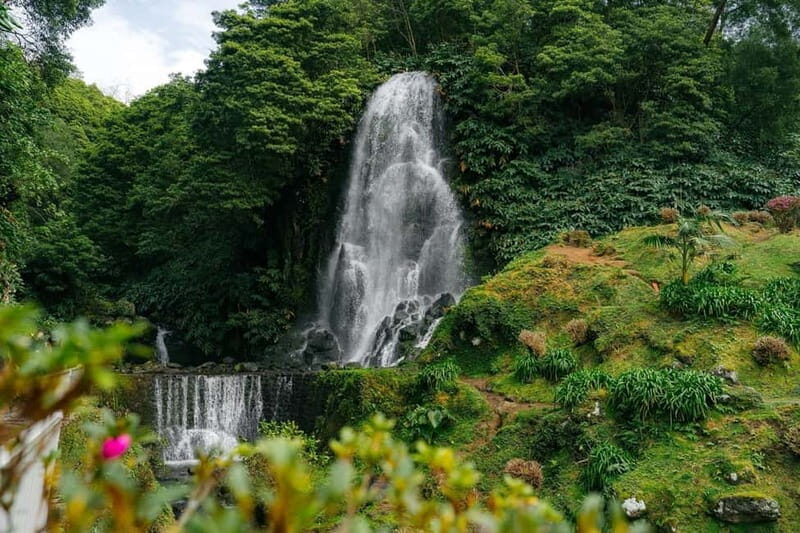 São Miguel Island: Full-Day Ribeira Park and Nordeste Tour - An In-Depth Look at the São Miguel Full-Day Tour