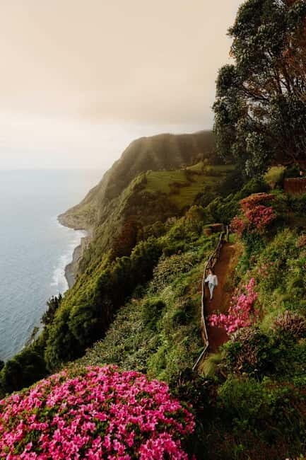 São Miguel Island: Full-Day Ribeira Park and Nordeste Tour - Who Would Love This Tour?