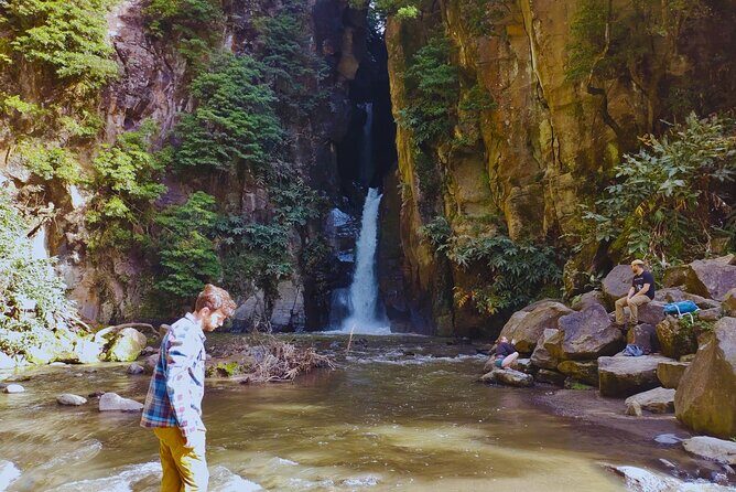 São Miguel: Majestic North Tour (Local Lunch Incl.) - Practical Details and Logistics