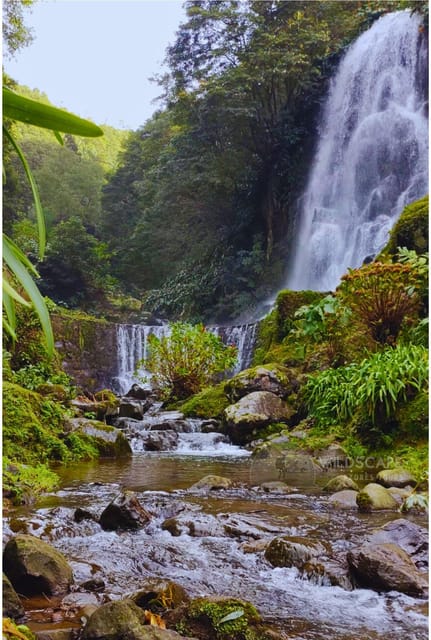 São Miguel: Majestic North Tour (Waterfalls w/Lunch) - A Deep Dive into São Miguel’s Northern Wonders