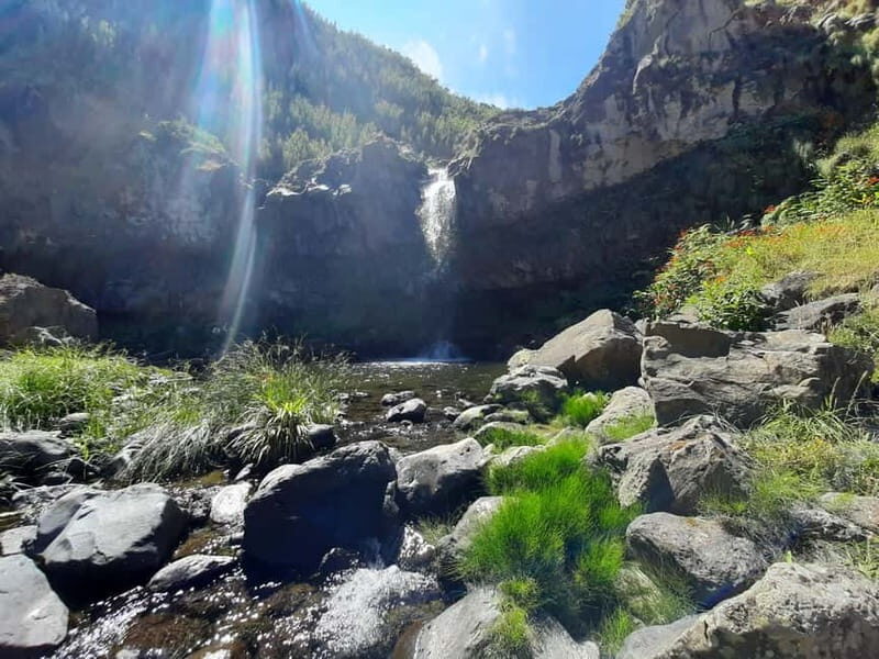 São Miguel: Moinho do Felix Hike with Tea Factory Visit - FAQ
