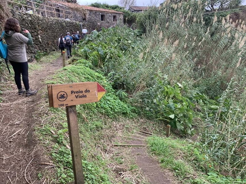 São Miguel: Private Viola Beach Hike & North Coast w/lunch - Introduction