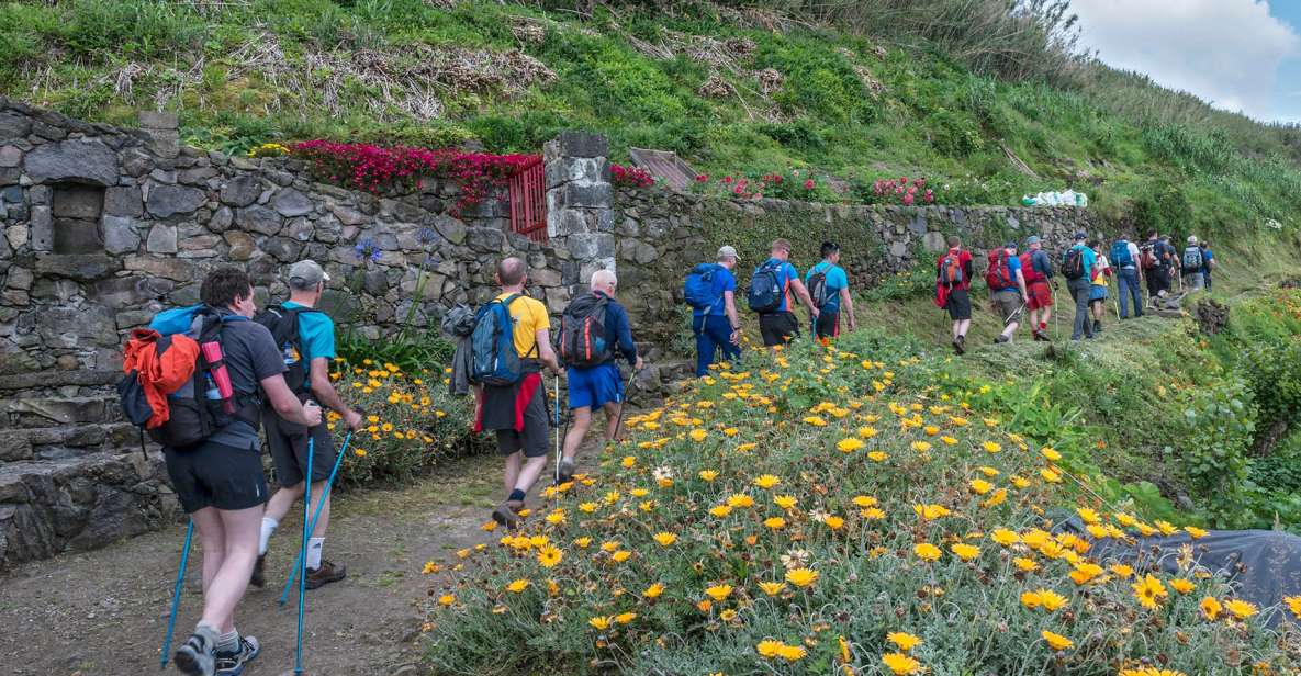 São Miguel: Ribeira Funda Hike & Tea Plantation With Lunch - Trail Start at Ribeira Funda