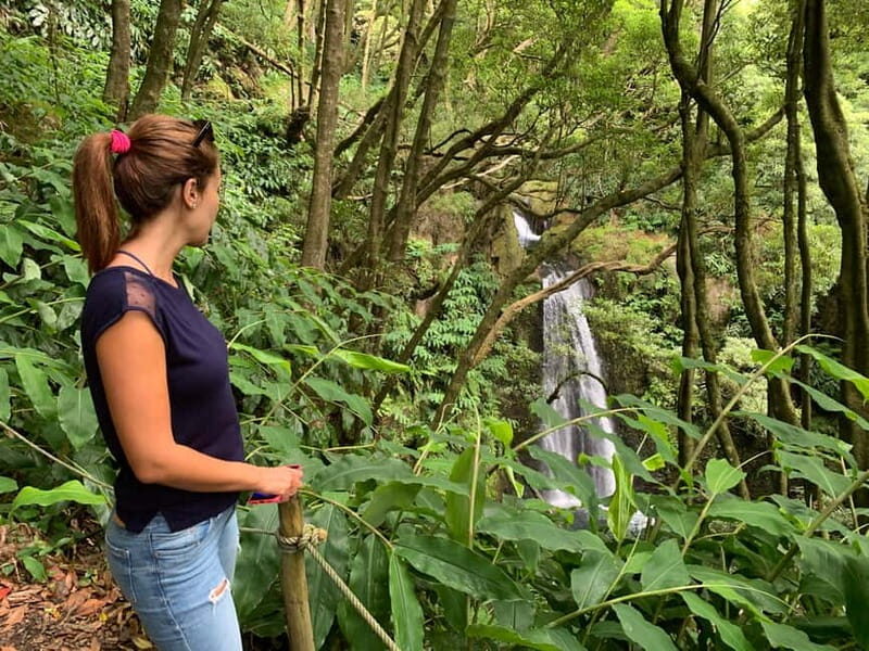 São Miguel: Salto do Prego Hike, Waterfalls & Picnic - Who Is This Tour Best For?