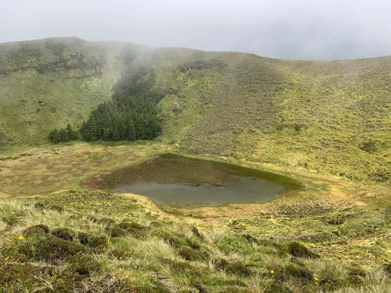 São Miguel: Sete Cidades Hiking, Picnic & Swim in Mosteiros - Final Thoughts: Who Will Love This Tour?