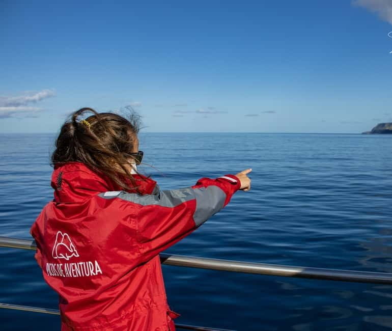 São Miguel: Swim with Wild Dolphins in the Open Ocean - FAQ