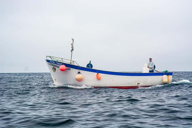 Sao Miguel: The Art of Traditional Fishing - Why This Tour Works