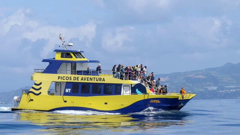 São Miguel: Whale-Watching Cruise with Marine Biologist - An Authentic Marine Adventure in São Miguel