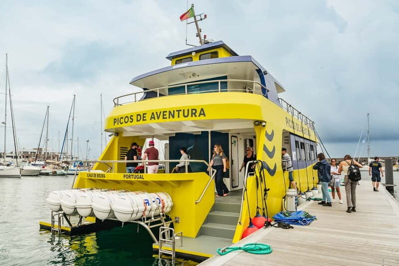 São Miguel: Whale-Watching Cruise with Marine Biologist - Cost and Value: Is It Worth It?