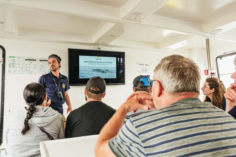 São Miguel: Whale-Watching Cruise with Marine Biologist - Who Would Love This Tour?