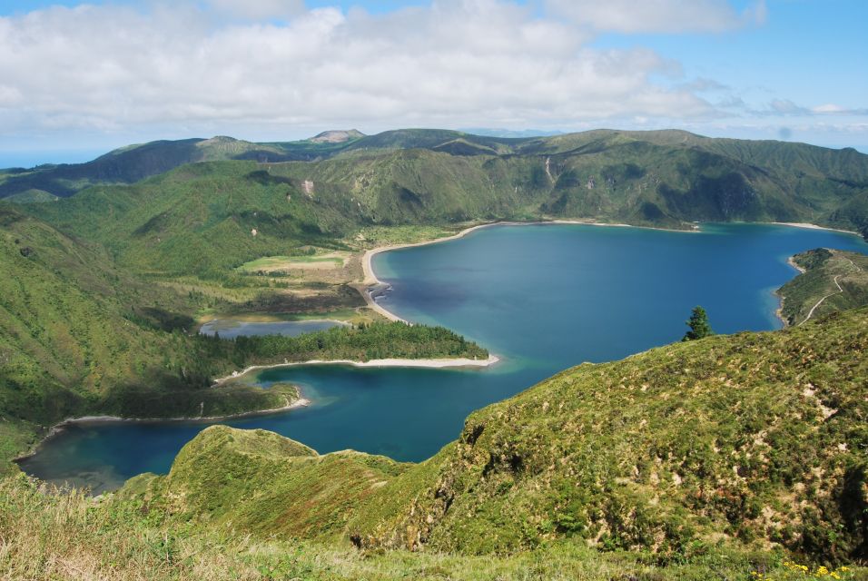 São Miguel: Whales & Volcano Full-Day Tour With Lunch - Lunch, Drinks, and Dessert