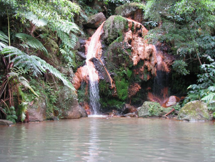 São Miguel: Whales & Volcano Full-Day Tour With Lunch - Frequently Asked Questions