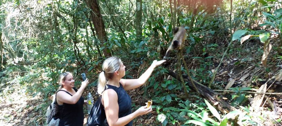 São Paulo: Atlantic Forest Hike in Jaraguá Park With Picnic - Visitor Feedback