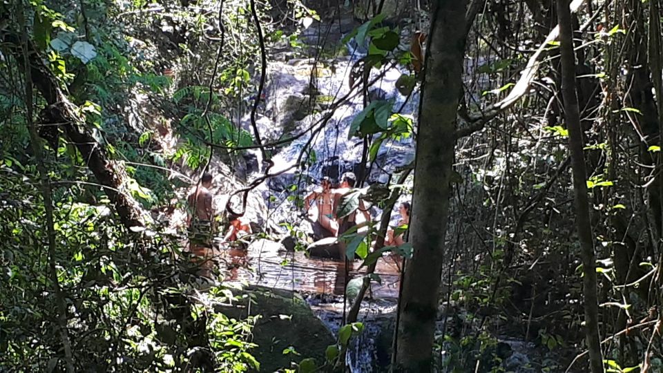 São Paulo: Cantareira Natural Park Hiking in the Rain Forest - Customer Feedback