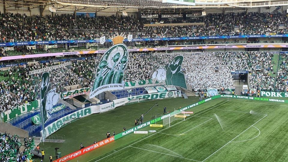 São Paulo: Join a Palmeiras Game Experience With a Local - Key Points