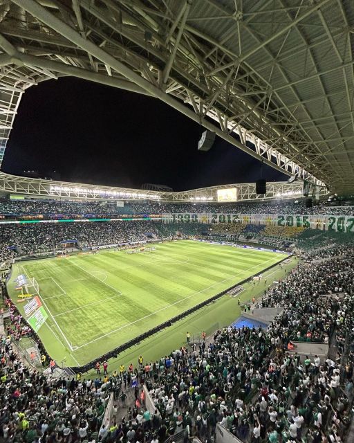 São Paulo: Join a Palmeiras Game Experience With a Local - Customer Feedback and Ratings