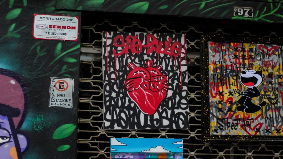 São Paulo: Street Art Private Tour - Highlights of the Experience