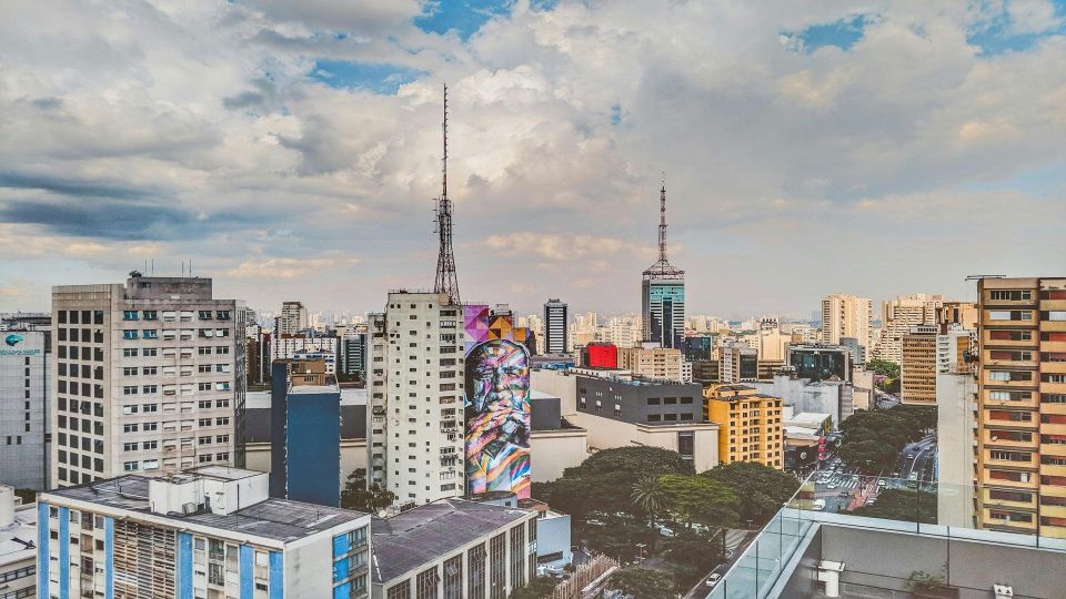 São Paulo: Street Art Private Tour - Local Artists and Their Impact