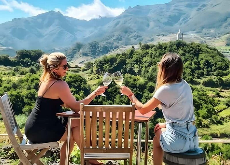 São Vicente Vineyard Visit With Traditional Lunch - What to Expect from the São Vicente Vineyard Tour