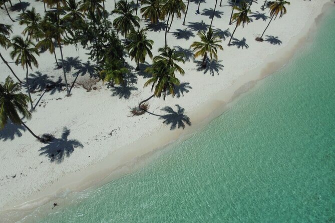 Saona by Speedboat: Private Beach & Snorkeling  Small Group - Who Should Consider This Tour?