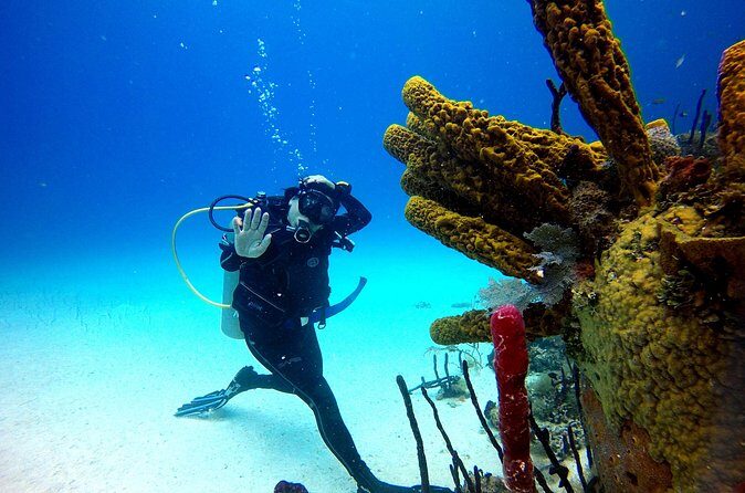 Saona Diving - Final Thoughts