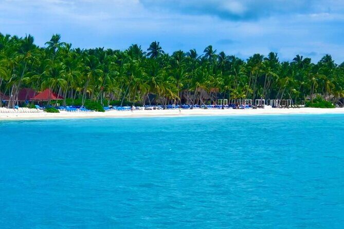 Saona Island Adventure - The First Stop: Isla Saona and the Natural Pool