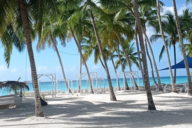 Saona Island Adventure - The Main Event: Saona Island Beaches and Buffet