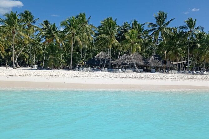 Saona Island Adventure - Authentic Experiences and What Travelers Say