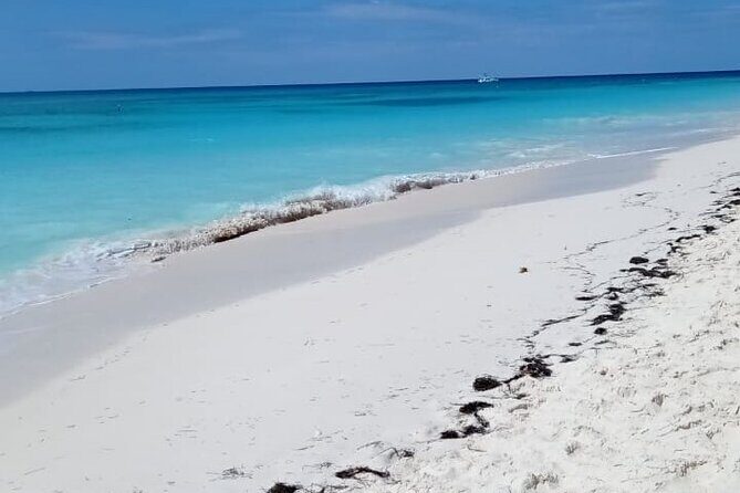 Saona Island Adventure - Who This Tour Is Best For