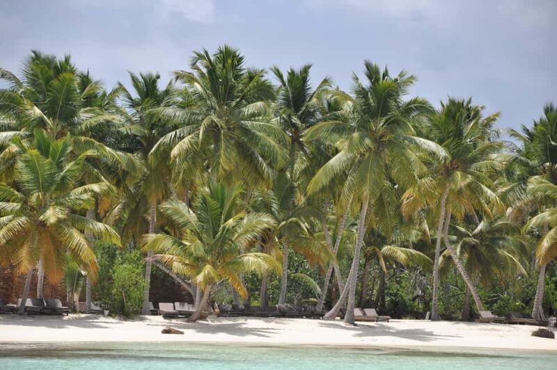 Saona Island and natural Pool Punta Cana - FAQ