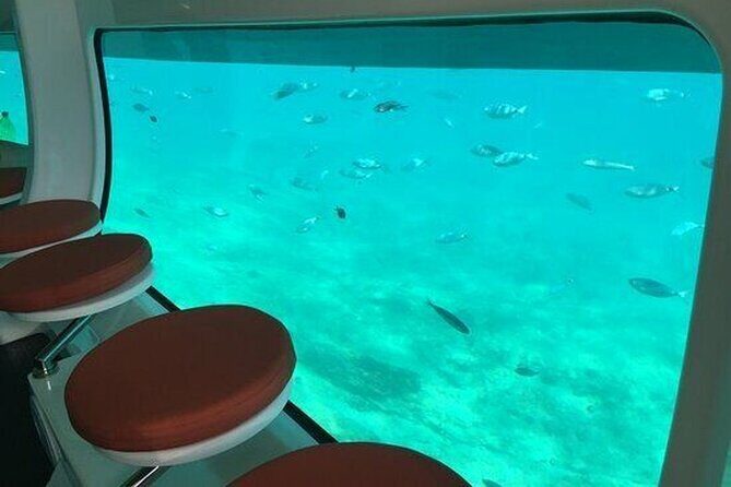 Saona Island at Yellow Submarine Exclusive Tour from Punta Cana - Practical Tips for Travelers