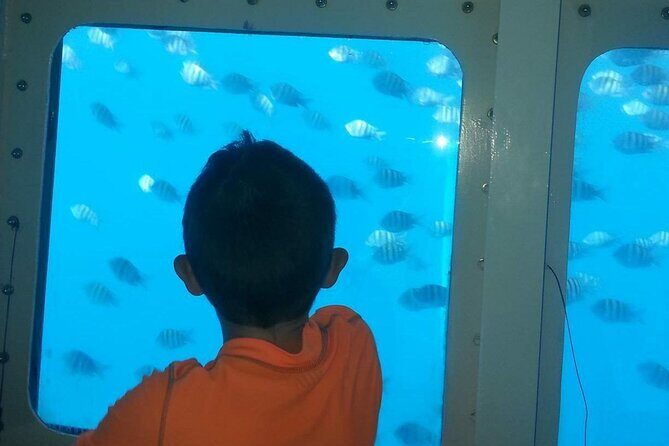 Saona Island at Yellow Submarine Exclusive Tour from Punta Cana - Final Thoughts: Is It Worth It?