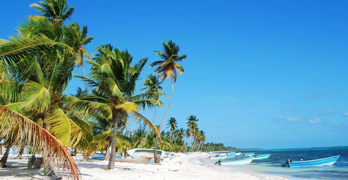 Saona Island: Beaches and Natural Pool Cruise With Lunch - Boat or Catamaran