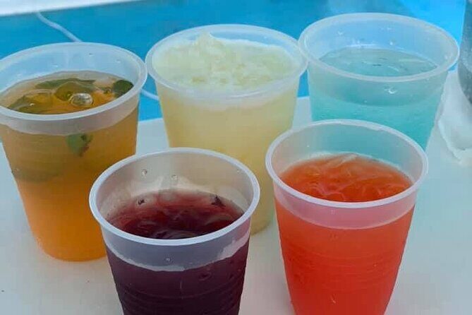 Saona Island by Paradise Travel - The Itinerary in Detail: What to Expect