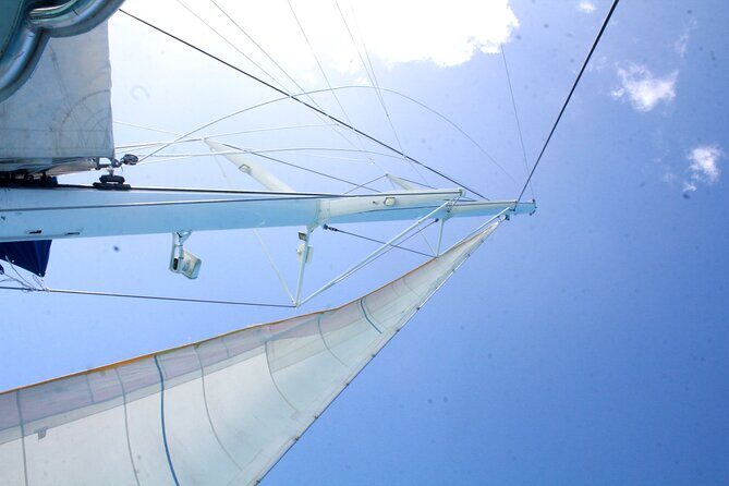 Saona Island by Paradise Travel - Final Thoughts: Is It Worth It?